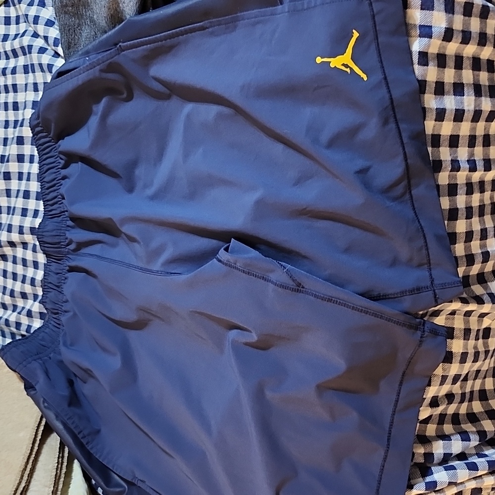Air Jordan michigan shorts size lg